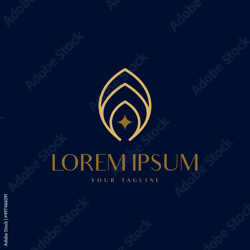 luxury business logo design