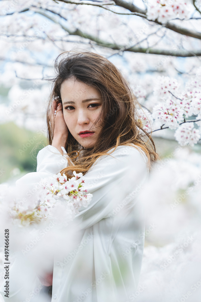 桜の花を見ながら散策する女性
