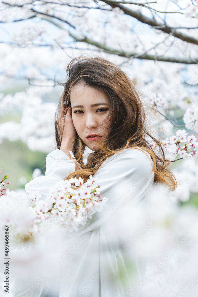 桜の花を見ながら散策する女性