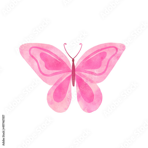 Watercolor colorful Summer butterfly isolated on white background. Spring pink butterfly illustration