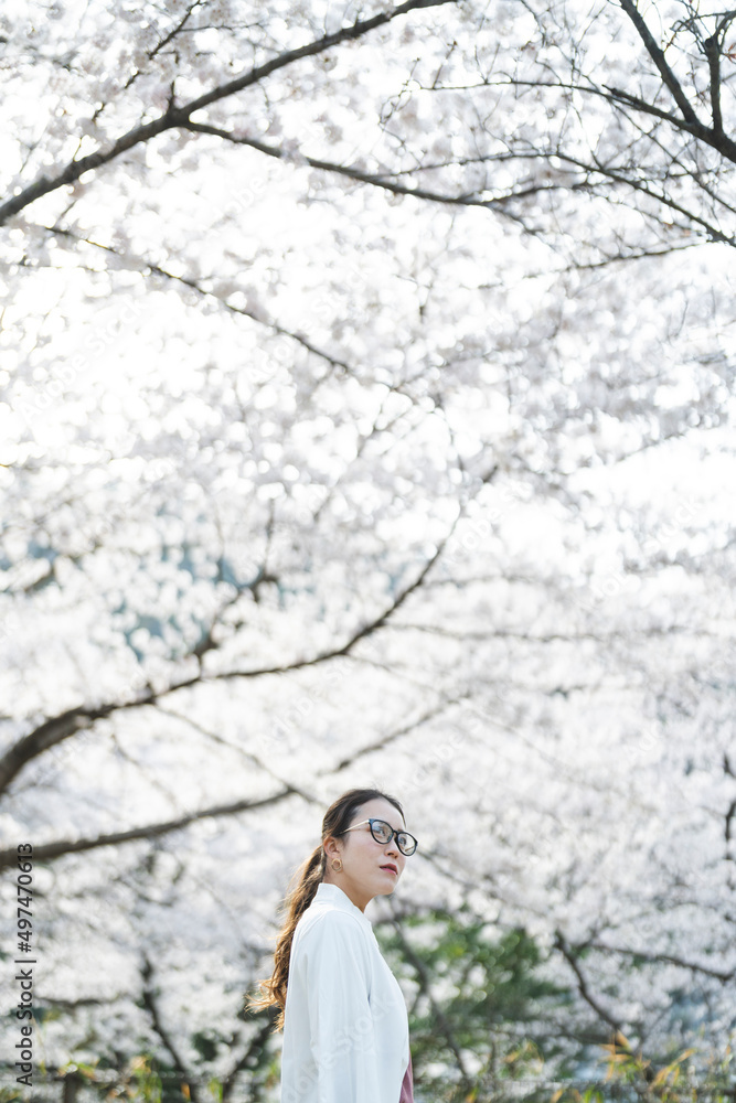 桜の花を見る眼鏡をかけた女性 桜の花を見る眼鏡をかけた女性