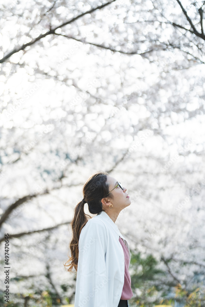 桜の花を見る眼鏡をかけた女性 桜の花を見る眼鏡をかけた女性