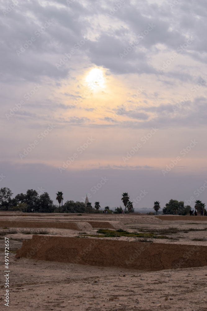 sunset on the field