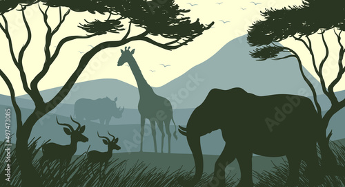 Silhouette shadow of forest scene