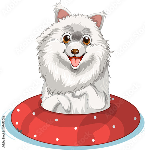Cute puppy dog  in rubber ring