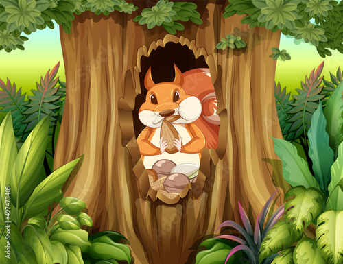 Scene with squirrels in forest