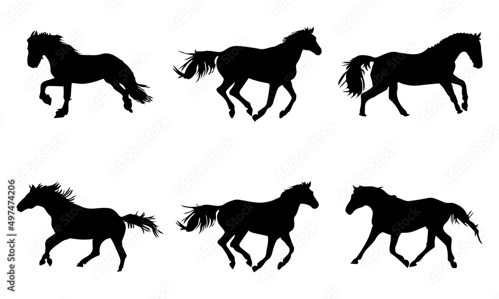Collection of horses silhouettes set  on white background
