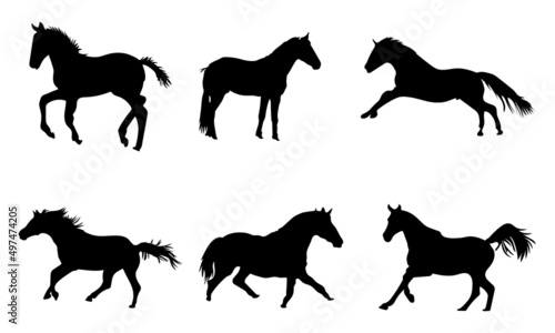 Collection of horses silhouettes set  on white background