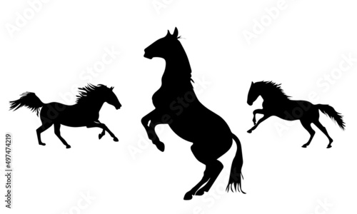 Collection of horses silhouettes set  on white background