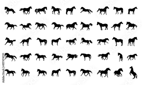 Collection of horses silhouettes set  on white background © Sayed Hossain