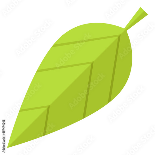 Green leaf. Fresh spring foliage symbol. Nature sign