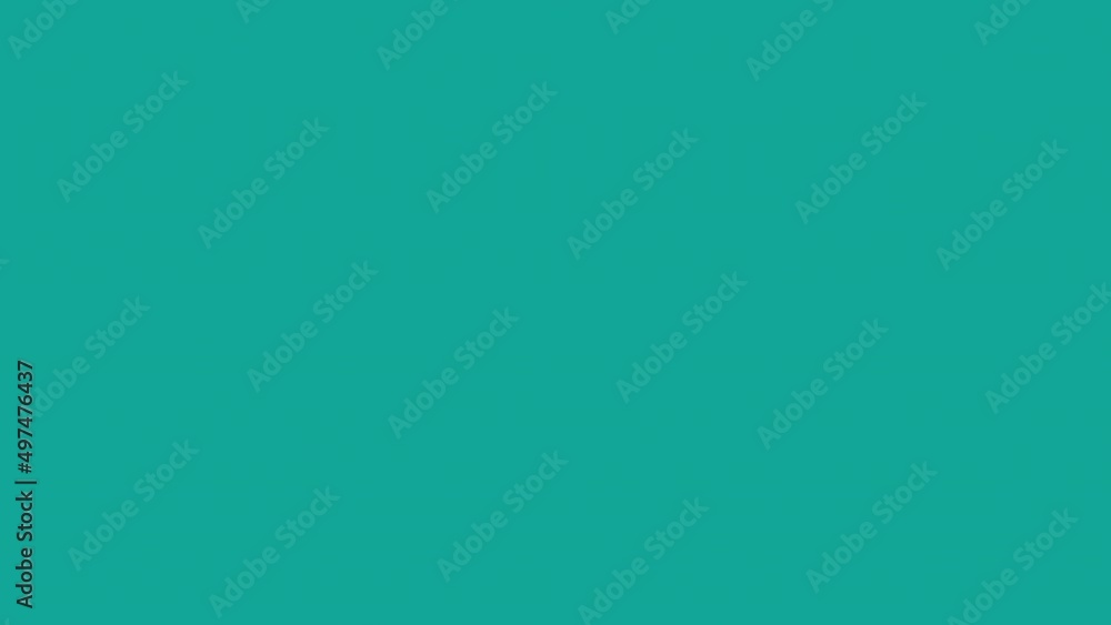 dollar coin icon and woman on computer motion animation. freelancer woman on computer. turquoise background dollar coin icon and woman on computer motion animation. freelancer woman on computer. turquoise background