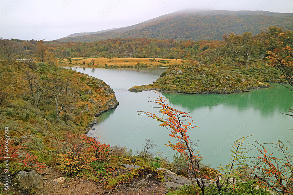 Beautiful Autumn Landscape on the Hiking Trail in Tierra del Fuego National Park, Patagonia, Argentina, South America