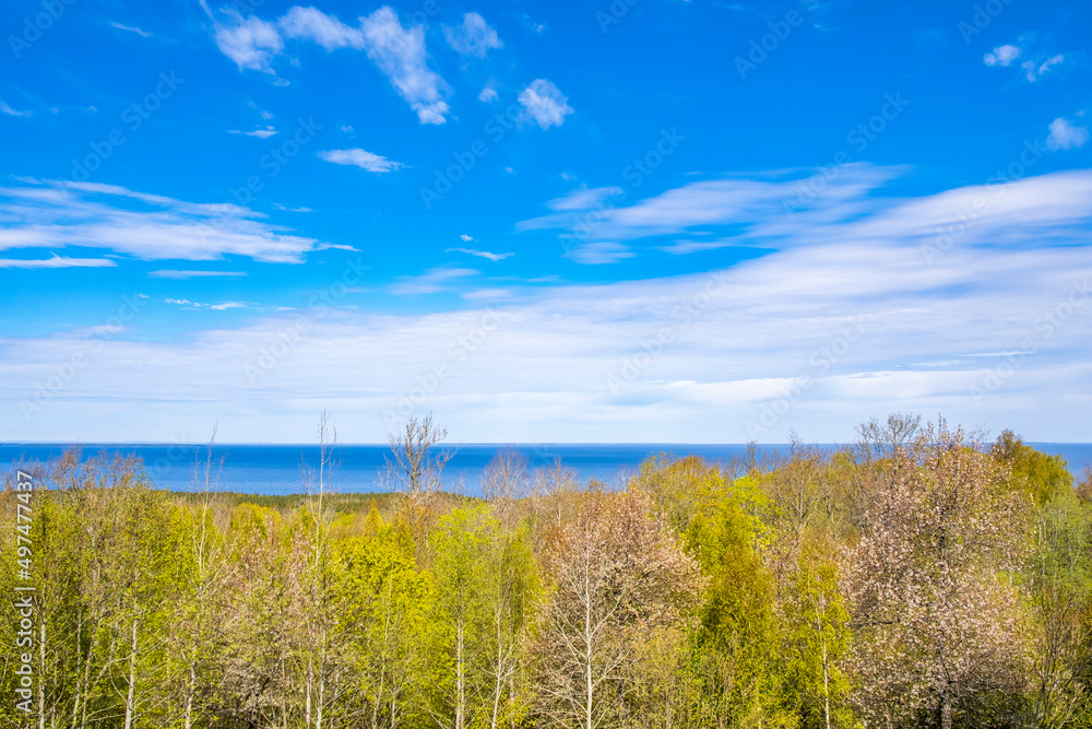 View to a lake and the horizon a sunny spring day View to a lake and the horizon a sunny spring day