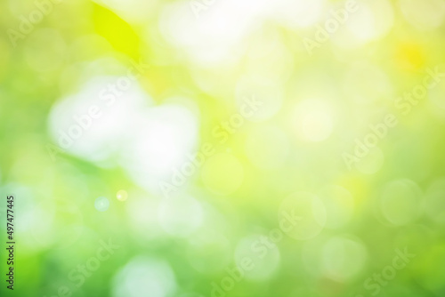 Abstract blurred green color for background, Blur leaves at the health garden outdoor and white bubble focus.