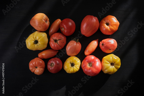 Organic tomatoes on the table in the rays of the sun
