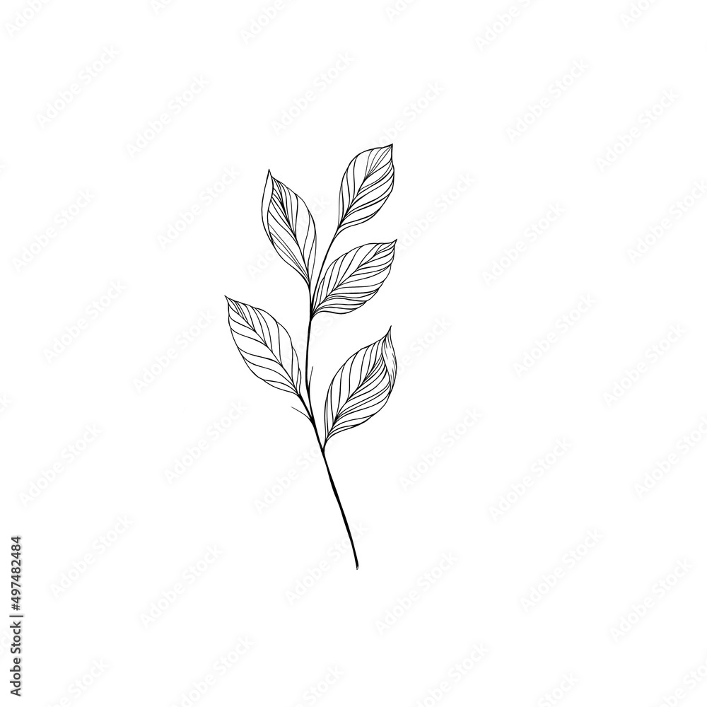 Obraz premium beautiful detailed sketch of plant. The idea of ​​a twig tattoo with leaves. detailed sketch of a twig with leaves