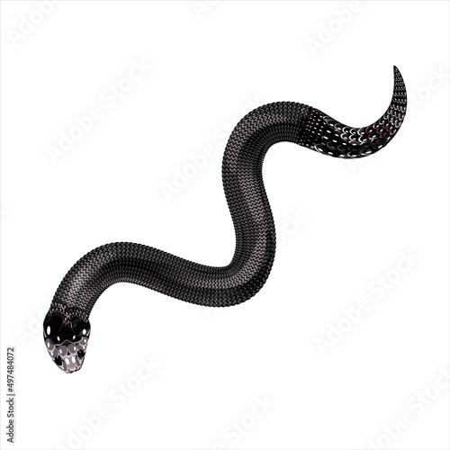 Snake. Graphic illustration of a snake. Black silhouette of a snake on a white isolated background. Vector illustration. Tattoo design