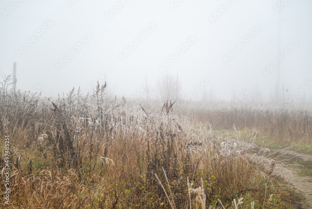 Bend of dirt road running through field with dry grass white with frost covered with thick fog, cold autumn morning landscape Bend of dirt road running through field with dry grass white with frost covered with thick fog, cold autumn morning landscape
