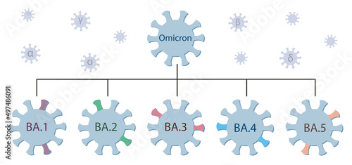 Fotografie, Tablou Omicron variant and its main subtypes BA