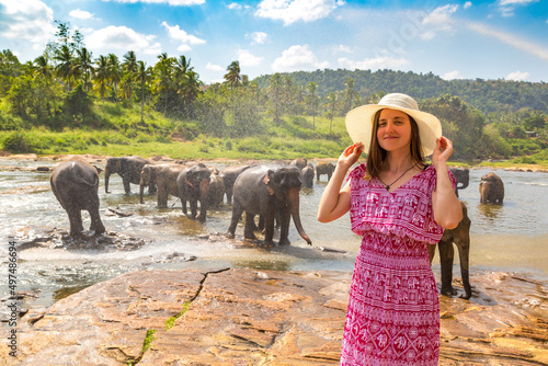 Photography Woman and elephants in Sri Lanka