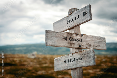 build good habits text quote written in wooden signpost outdoors in nature. Moody theme feeling.
