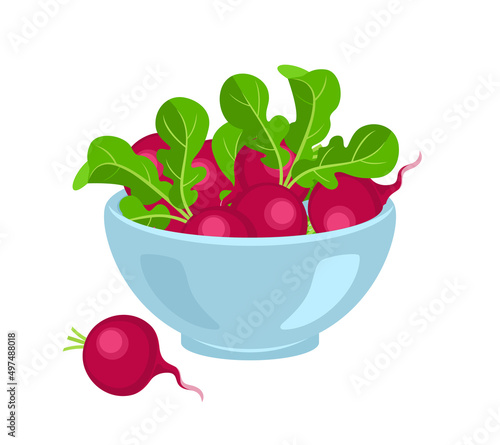 Radish in blue bowl isolated on white. Vector flat icon of red root vegetables.