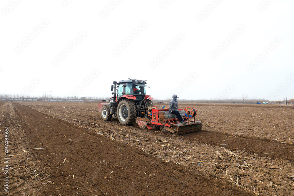 Farmers use planters to plant oats in their fields, North China Farmers use planters to plant oats in their fields, North China