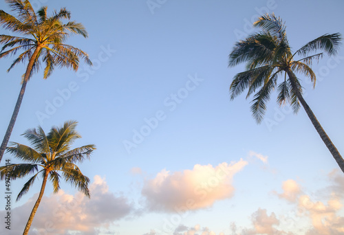 Three palm trees agains tropical sunset sky