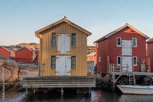 Yellow and Red Traditional Swedish Boathouses on the island Smogen photo