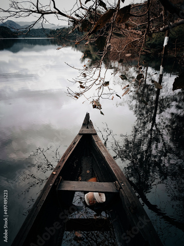 Vertical shot of a wet wooden boat in a lake under the branches of a dry bare tree