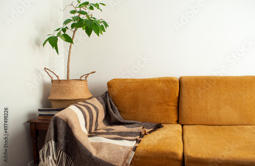 Modern living room interior with cozy orange colour sofa, wool plaid and home plant.