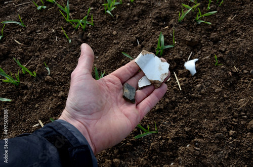 there are lot of rubbish when inspecting a populated field with spring rows of wheat. Archaeologically valuable shards of ceramics well as plastic and aluminum bottles and packaging already weathered photo