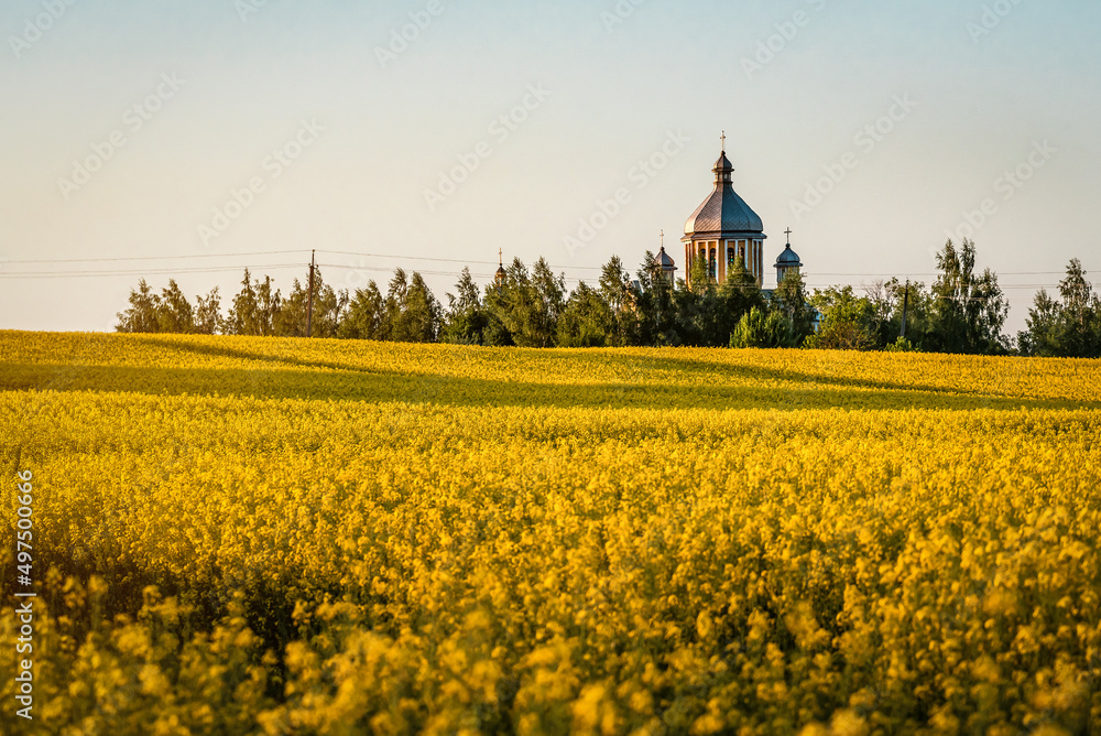 church in yellow rape field