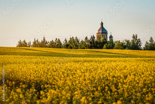 church in yellow rape field