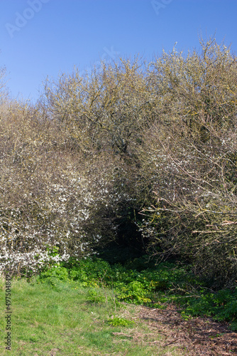 Footpath at Leiston Suffolk, England, United Kingdom photo