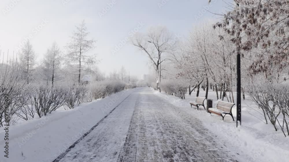 Snow-covered path in the city park Snow-covered path in the city park