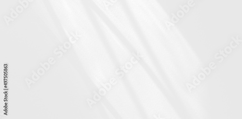 Abstract blurred background. reflection of leaves and gray light lines. reflected on the white concrete wall.