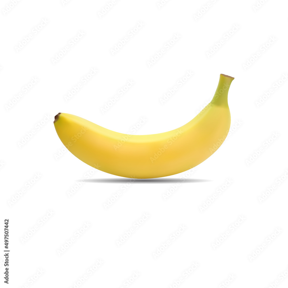 Cavendish banana on white background vector illustration