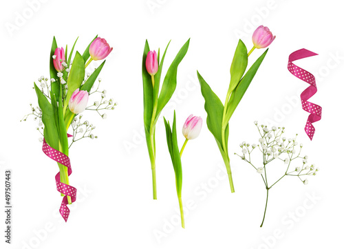 Pink tulips and gypsiphila ...