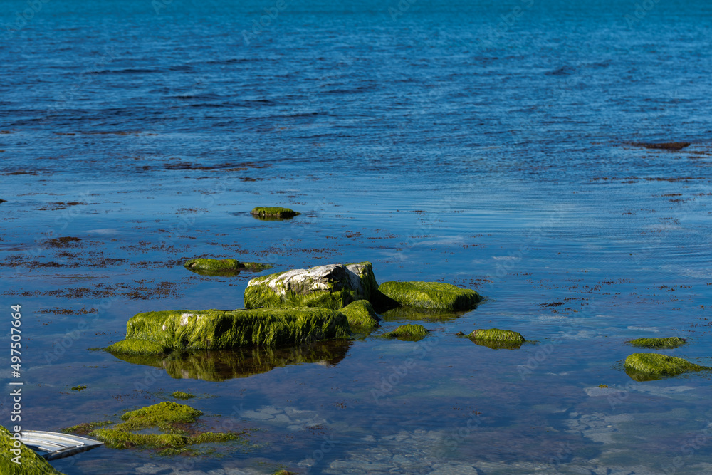 Fototapeta premium rocks and sea