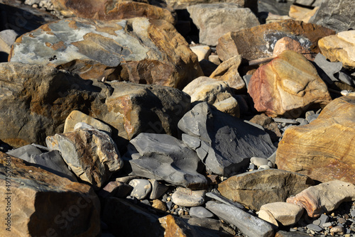 leaves on the rock