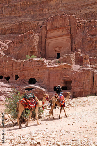 Camels passing sandstone architecture, Petra Jordan
 photo