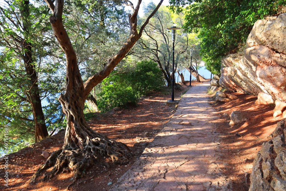 Road in Park Milocer in a beautiful summer day in Sveti Stefan, Montenegro Road in Park Milocer in a beautiful summer day in Sveti Stefan, Montenegro