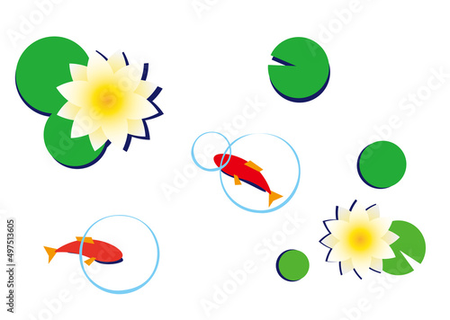 睡蓮と金魚