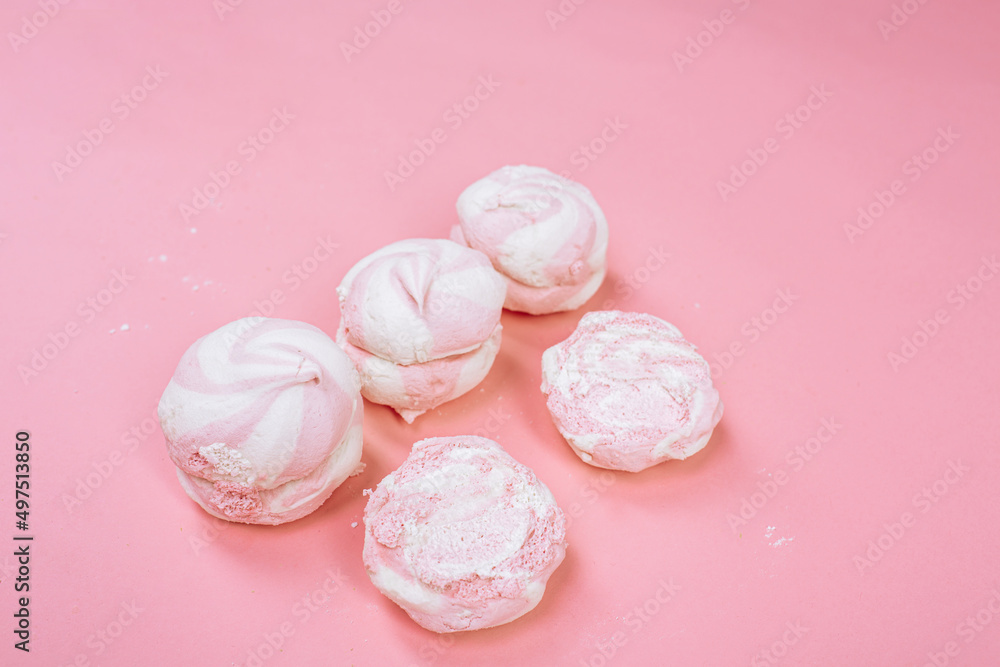 Composition of pink and white Bizet on a pink background.pastel.Top wiev Composition of pink and white Bizet on a pink background.pastel.Top wiev