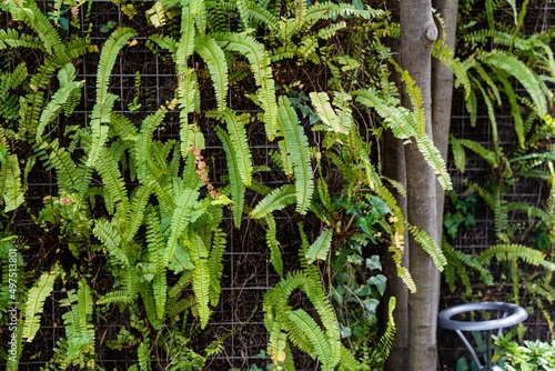 植栽