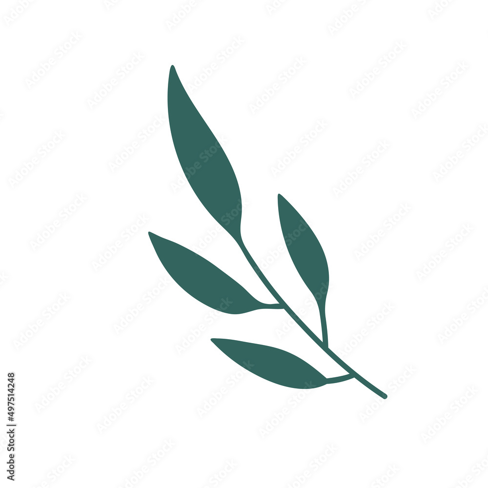 Fototapeta premium hand painted leaves for decoration in minimalist style