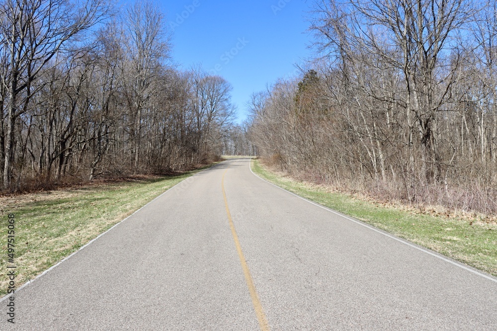 Fototapeta premium The long empty road in the countryside on a sunny day.