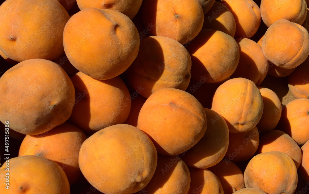 Close-up on ripe yellow cling peaches displayed at a fruit and vegetable market stall Close-up on ripe yellow cling peaches displayed at a fruit and vegetable market stall
